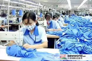 原料价格涨涨涨 服装企业 双11 近在眼前怎么办